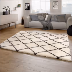 L'élégance ne doit pas forcément être associée à de l'inconfort. Les tapis à longs poils moelleux de cette collection témoign ...
