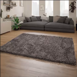 Procurez-vous davantage de confort au sein de vos quatre murs. Grâce aux fabuleux tapis shaggy de cette collection, vous crée ...