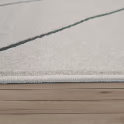 Peu de pays comptent autant de logements confortables que la Norvège ou la Suède. Avec ces superbes tapis, faites entrer une  ...