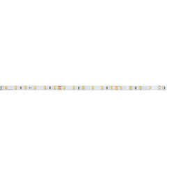 Brumberg 38202027 LED lumineuse Ruban lumineux universel Intérieure 48 W F 5000 mm