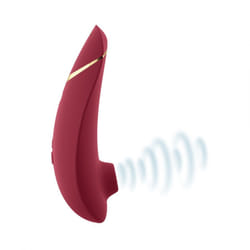 Womanizer Premium 2 Vibrateur à ventouse
