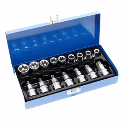 Jeu de douilles torx mâle 16 p