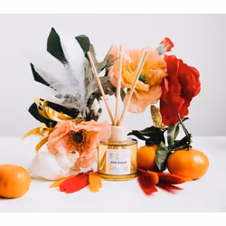 AVA & MAY DI-RI-100 diffuseur aromatique Vase Rotin, Bois Ambre, Bois