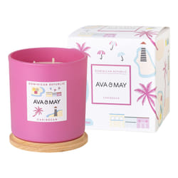 AVA & MAY CA-DORE-380 bougie en cire Rond Noix de coco, Orchidée, Fève Tonka Rose 1 pièce