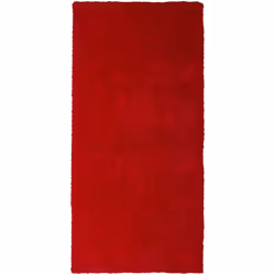 Tapis rouge 80 x 150 cm. Ajoutez une touche de charme à votre intérieur avec ce tapis design. Fait de polyester agréable au t ...