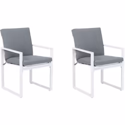 Fauteuils metteur en scène. Un ensemble de deux chaises qui, grâce à leur design épuré et moderne, s'intègrent facilement à u ...