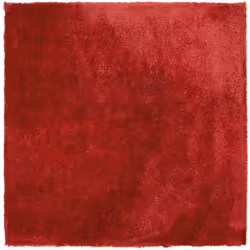Tapis 200 x 200 cm à poil long en tissu coton rouge. L'ajout d'un tapis merveilleusement doux et moelleux confère à tout inté ...