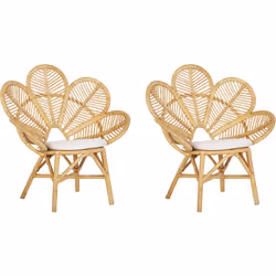 Chaises pour intérieur et extérieur tressées. Cet ensemble universel de chaises au design tendance de paon est un excellent c ...