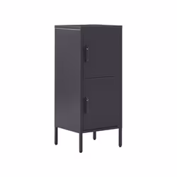 Armoire de bureau - BELIANI - HURON - Acier - Noir - 2 portes
