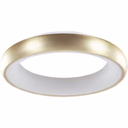 Plafonnier en forme d'anneau. Illuminez votre salon, votre chambre ou votre couloir avec cet élégant plafonnier. Sa couleur d ...