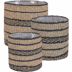 Paniers à plantes. Ce lot de 3 paniers est un excellent moyen de présenter vos plantes préférées. Fabriqués en algues, ils ap ...