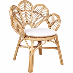 Petit fauteuil. Cette chaise exceptionnelle au design paon très tendance est un choix parfait pour améliorer tout espace de v ...