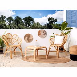 Lot de 2 chaises paon en rotin naturel FLORENTINE II
