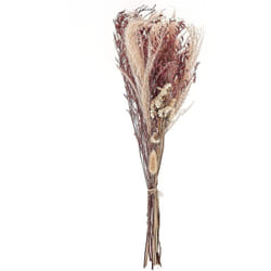 Bouquet de Fleurs Séchées Décoratives Préservées 50 cm Rose Zamora