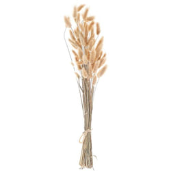 Bouquet de Fleurs Séchées Décoratives Préservées 58 cm Naturel Sanabria