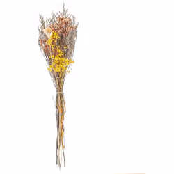 Fleurs séchées décoratives. Ajoutez une touche de couleur à votre décoration intérieure avec ce joli bouquet composé d'un ens ...