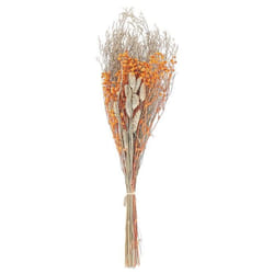 Bouquet de fleurs séchées 65 cm orange CERCEDILLA