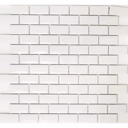 Mosani MOS26-0102, Mosaique, Vitrocéramique, Blanc, Intérieure, Rectangle, 300 mm