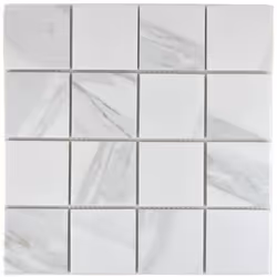 Mosani MOS16-0102, Mosaique, Vitrocéramique, Blanc, Intérieure, Rectangle, 306 mm