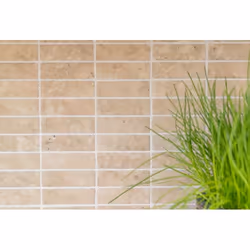 Mosani MOS24-STSO67 carreau Mosaique Beige