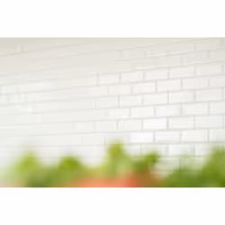 Mosani MOS24-03WM carreau Mosaique Blanc