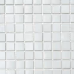 Mosani MOS50-0101 carreau Mosaique Blanc