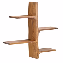 Étagère murale - FINEBUY - Arbre flottant - Bois de sheesham massif - 58x60x15 cm - Design contemporain