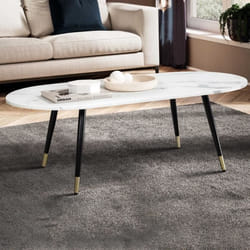 FineBuy Table Basse 120x60x415 cm Aspect Marbre Grande Table de Salon Moderne [Blanc]