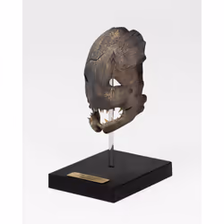 ItemLab Trapper Mask - Vue supplémentaire 4