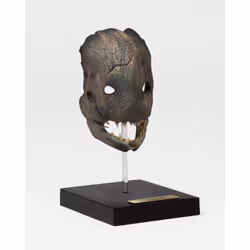 ItemLab Trapper Mask - Vue supplémentaire 5