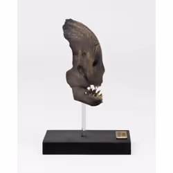 ItemLab Trapper Mask - Vue supplémentaire 6