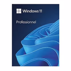 Windows 11 Pro - Licence perpétuelle - 1 PC - A télécharger