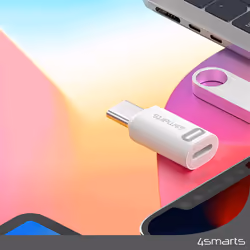 4smarts 540711 changeur de genre de câble Lightning USB-C Blanc