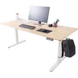 AREBOS Bureau à hauteur réglable électriquement 160x80 cm  Fonction mémoire  Table dordinateur réglable 72-118 cm Beige