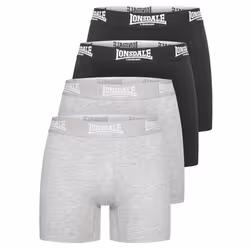 Boxer Lonsdale East Challow (x4)