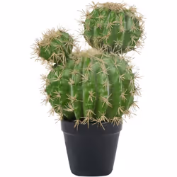 Faux cactus boule décoratif. Apportez une touche d'extérieur à votre espace avec ce cactus artificiel exotique et réaliste. S ...