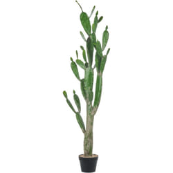 Beliani - Plante Artificielle en Pot en Plastique 150 cm Décoration Intérieur Opuntia Cactus
