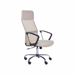 Chaise de bureau beige DESIGN