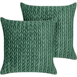 Beliani - Lot 2 Coussins Deco Motif Tressé Texturé 45 x 45 cm en Tissu Polyester Vert Eclipta