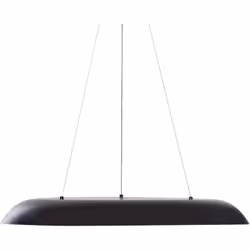 Lampe pendante moderne avec lumière LED intégrée. Fabriquée en métal noir universel avec une grande forme ronde, cette lampe ...