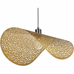 Lampe pendante en fer. Introduisez une touche d'élégance artistique dans votre espace avec cette lampe suspendue unique. Son ...