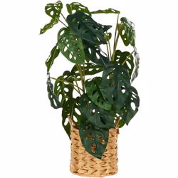 Fausse plante de monstera décorative. Améliorez votre espace avec cette étonnante fausse plante Monstera. Ses feuilles perfor ...