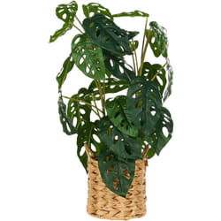 Plante Artificielle en Pot 53 cm Décoration Intérieur Plastique Monstera Adansonii