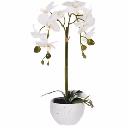 Fausse plante orchidée décorative. Ravivez votre décoration intérieure avec cette magnifique fausse orchidée, conçue pour app ...