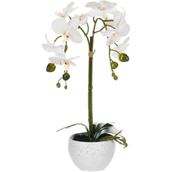 Beliani - Plante Artificielle en Pot Orchidée 42 cm Décoration Intérieur Plastique Orchid