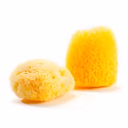 GRÜNSPECHT Naturprodukte G510-V1, Jaune