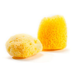 GRÜNSPECHT Naturprodukte G510-V1 éponge de bain pour bébé Jaune