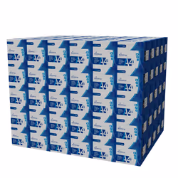 MediaRange MRINK110 papier jet d'encre A4 (210x297 mm) Mat 500 feuilles Blanc