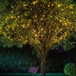 Longue et adaptée à toute l'année : la guirlande lumineuse solaire à 200 LED Si vous avez de grands projets, cette guirlande  ...