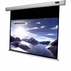Celexon 1090039, 16:9, Noir, Blanc